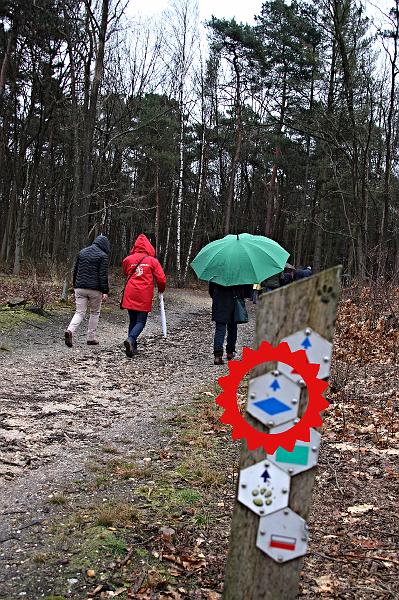 MG Winterwandeling_ (106).JPG